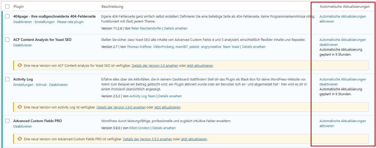 WordPress Automatisch Updates Plugins Core