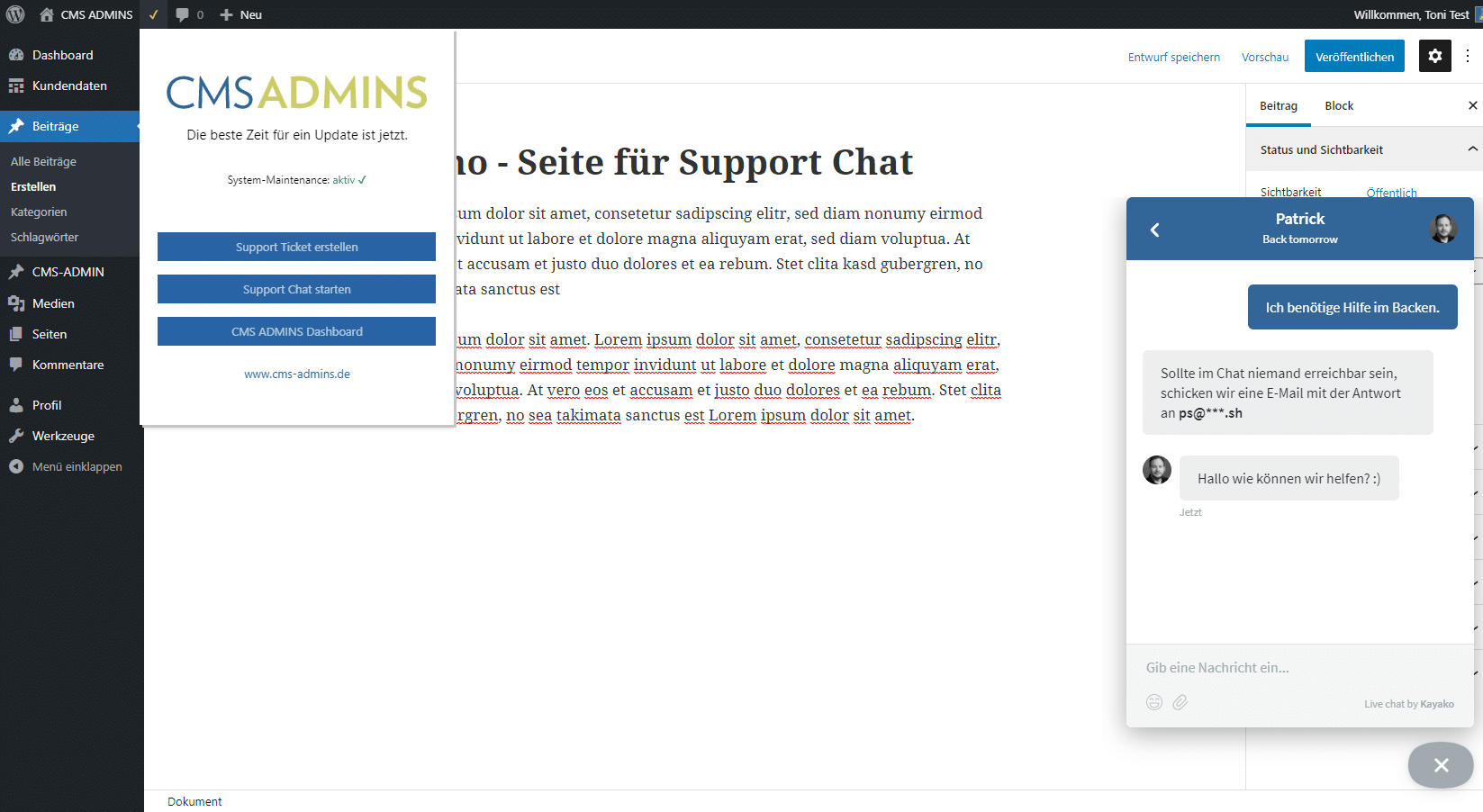 CMS ADMINS Wartungs Plugin mit Support und Chat