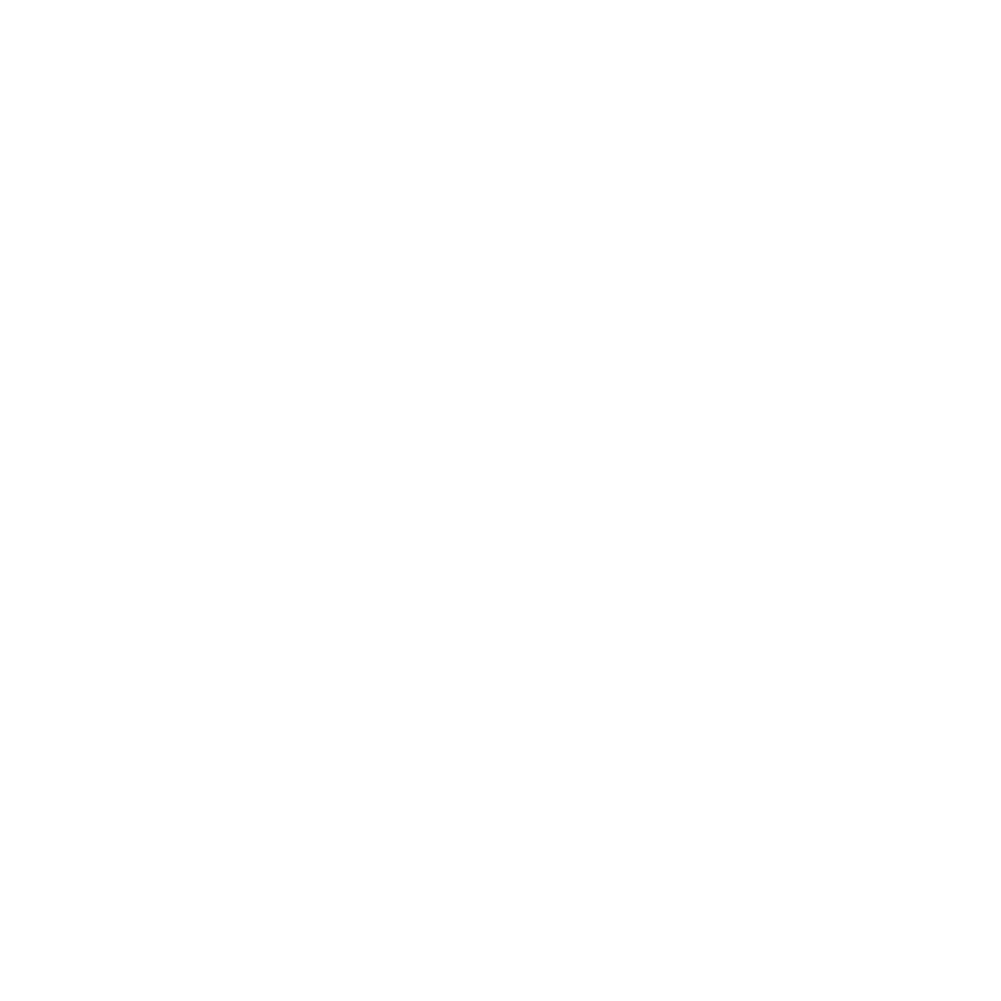 WordPress Logo