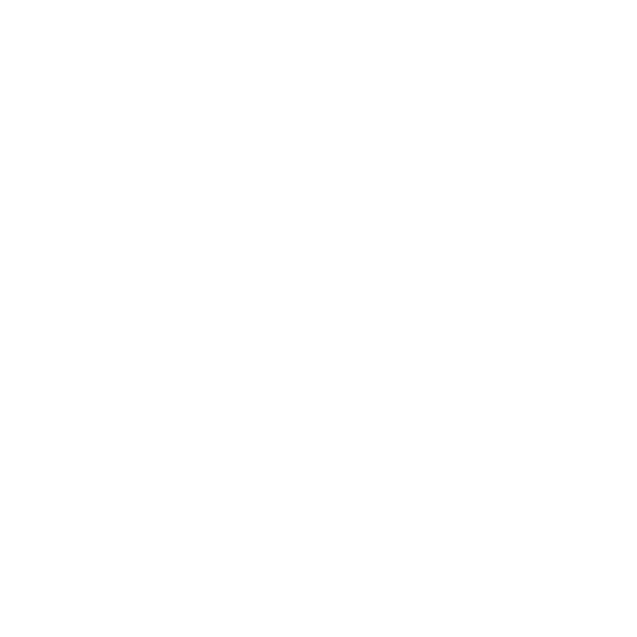 WordPress Hacker