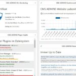 CMS ADMINS WordPress Wartung